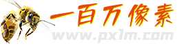 一百万像素网